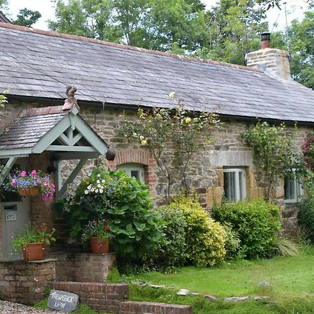 Bed and Breakfast Trewassick Barn New Quay Esterno foto