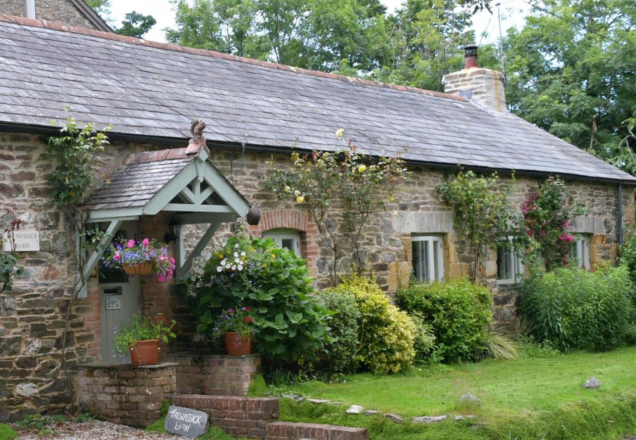 Bed and Breakfast Trewassick Barn New Quay Esterno foto